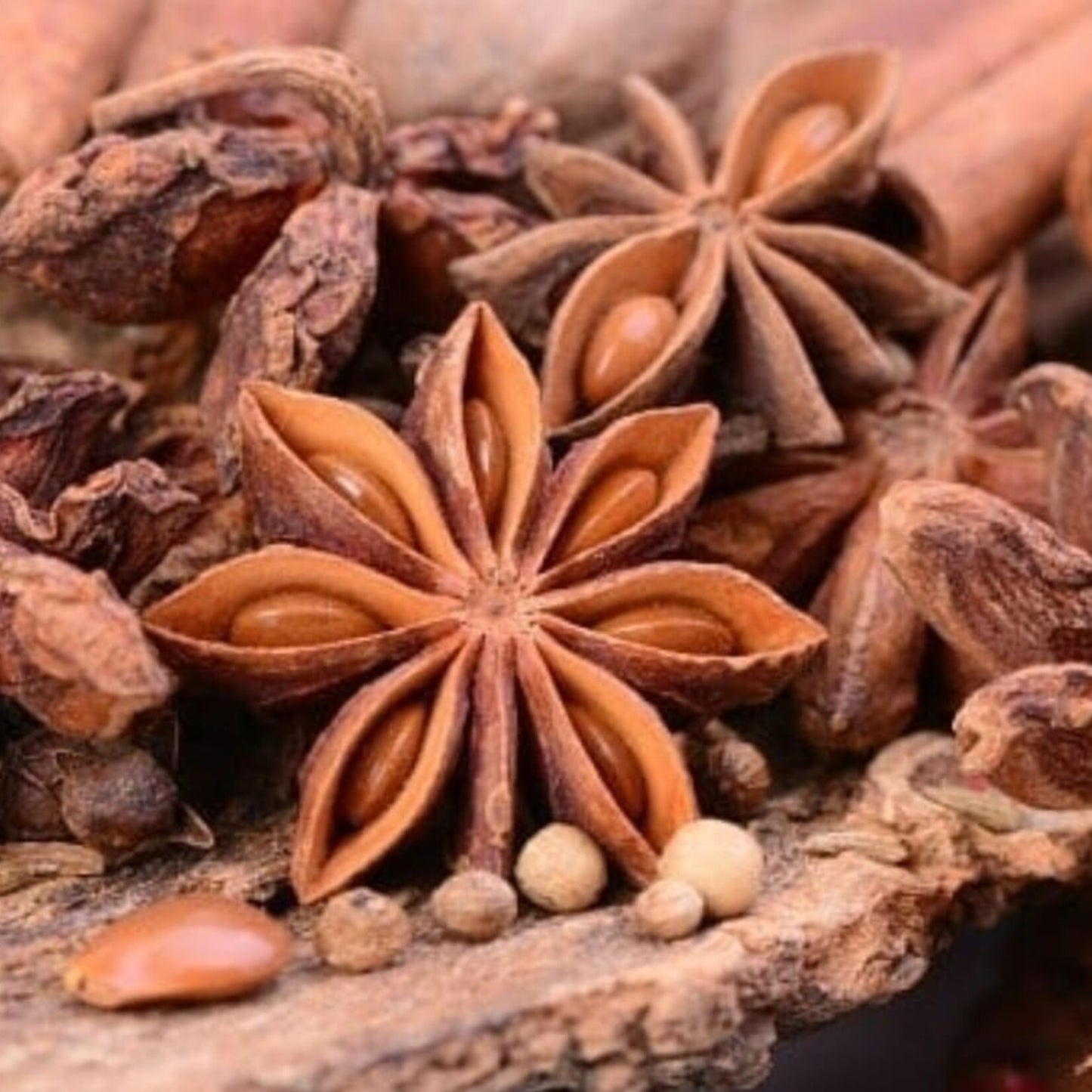 Anis Étoilé Bio – Saveur Authentique et 100% Naturelle