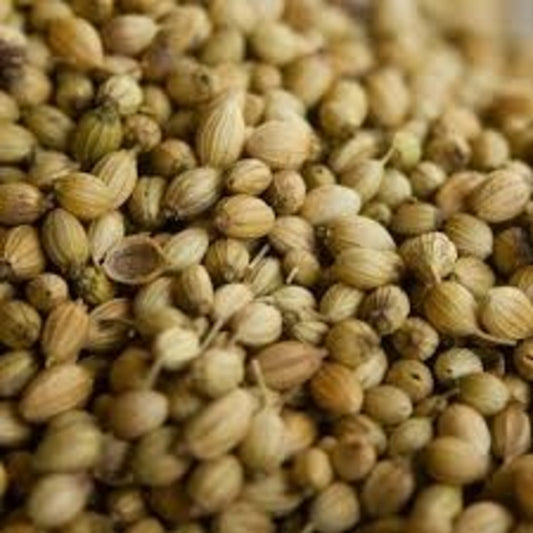 Graines de Coriandre Bio – Parfum Unique pour Cuisine et Soins